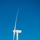 새삼목장 이미지