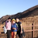 부산시청 이미지