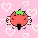 씨에로(cielo) 이미지