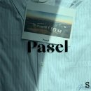 라이트오버 | 봄여름 셔츠코디 | 파셀 pasel 라이트 스트라이프 오버핏 여성셔츠 (착샷+후기)