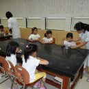 갈마초교병설 이미지