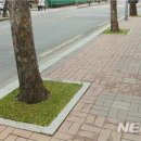 목동서로10길 이미지