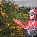 남원농장 이미지