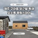 오소록스테이 네이버블로그