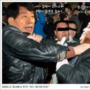 돼지새끼 Daum카페
