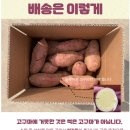 주식회사 황토인 | 해남 황토 햇 꿀 고구마 요즘 난리난 맛 이유가 있음