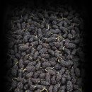 청해펜션 이미지