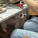 산북로(북후면) 이미지