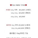 비바몽 네이버블로그
