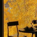 문화식당 이미지