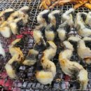 서파장어랜드 이미지