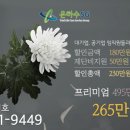 고성장례식장