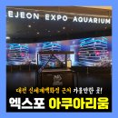 가진개 | 대전 엑스포 아쿠아리움 신세계백화점 근처 주차 공연 입장료 후기!