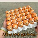 묘한인생 이미지