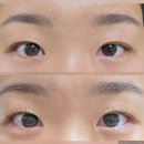 역삼1-204 | [역삼속눈썹펌 추천] 래쉬플로라 속눈썹 강남역삼점 꼼꼼하고 세심한 속눈썹펌 추천!!