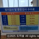 행복한정비소 | 교통안전공단 검사소 아닌 지정정비소에서 자동차 검사받았어요!(2025년 검사기간확대, 기한초과과태료)