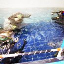 스쿠버월드 이미지