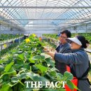 김동언농장 이미지