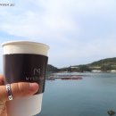 미스티크 이미지