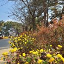 물숲(명천) 이미지