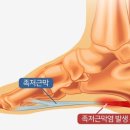 세중한의원 국제도시점 이미지
