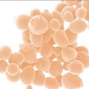 천안제일약국 이미지