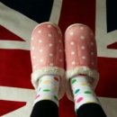 진리세탁 이미지