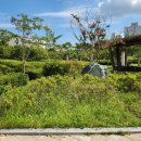 무전 해변공원 이미지