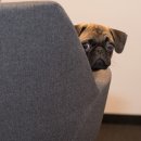 잉글리쉬에비뉴 이미지