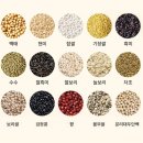 호라 | [제이엔엠] 요즘은 카무트효소가 대세? 캐나다산 호라밀 곡물 효소, 파로효소 후기