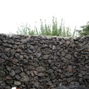 제주 소락 이미지