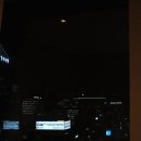 스탠포드호텔 명동 | [명동 스탠포드호텔] 서울 을지로 호텔추천 스탠다드더블 후기