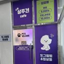 똥개애견카페 | [인천 핫플] 강아지 없어도 방문할 수 있는 인천 애견카페 “도그힐링상주견애견카페”
