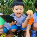 숲아띠어린이집 이미지