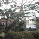 분당-304 이미지