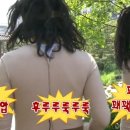 아리아글램핑 이미지