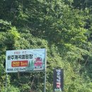 운주농협 | 자연 속 힐링, 대전 근교 계곡캠핑 완주 "운주계곡캠핑장"
