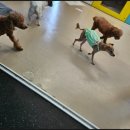 나홀로짐 서변점 이미지