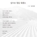 김상용 티스토리