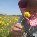 기순농장 이미지