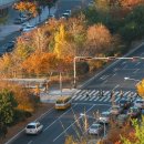 동대구로 이미지