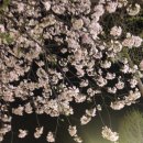 프로마인드짐 PT & 태닝 녹번점 이미지