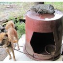 계곡이야기 이미지