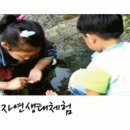 그루터기펜션