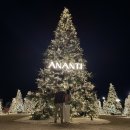 모비딕 | 부산여행 부산호텔 추천 아난티 모비딕 마켓 후기