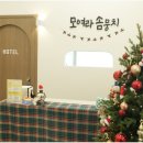 모여라 애견미용 이미지