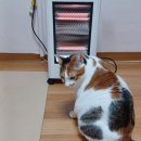 한국요가연수원석산수련장