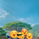 섬진강 더골드 이미지