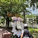 여주-0043 | 🗼도쿄여행 포토덤프