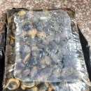 바다풍경펜션도시어부 이미지